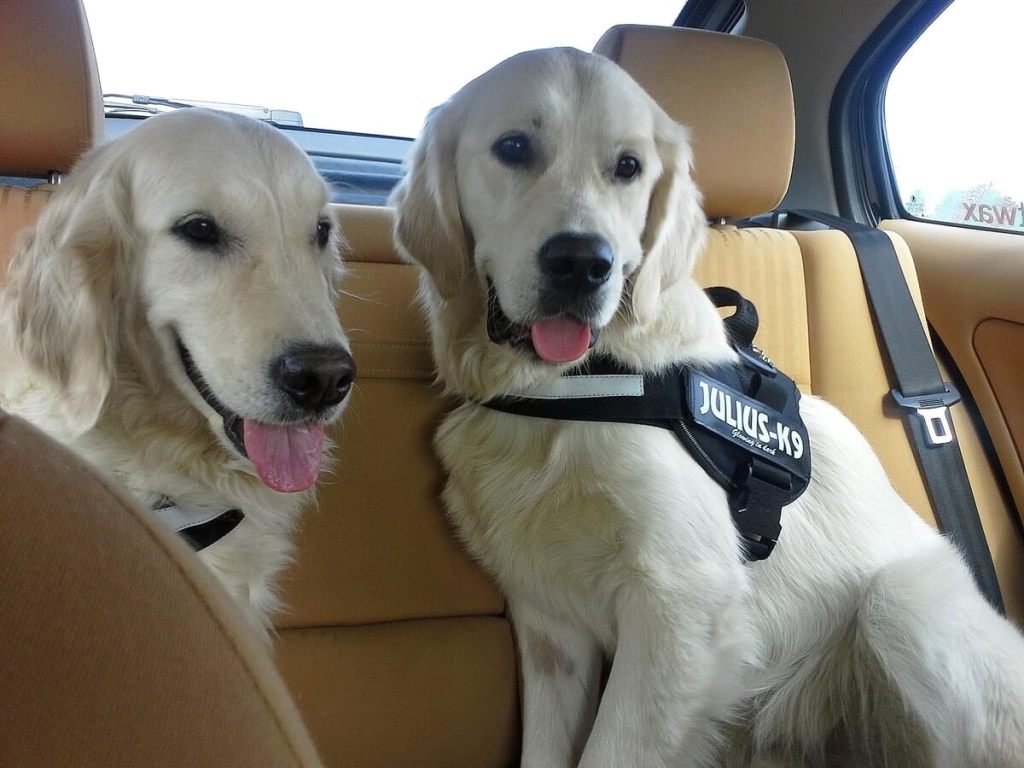 Boni i Dżak pierwsza wspólna podróż