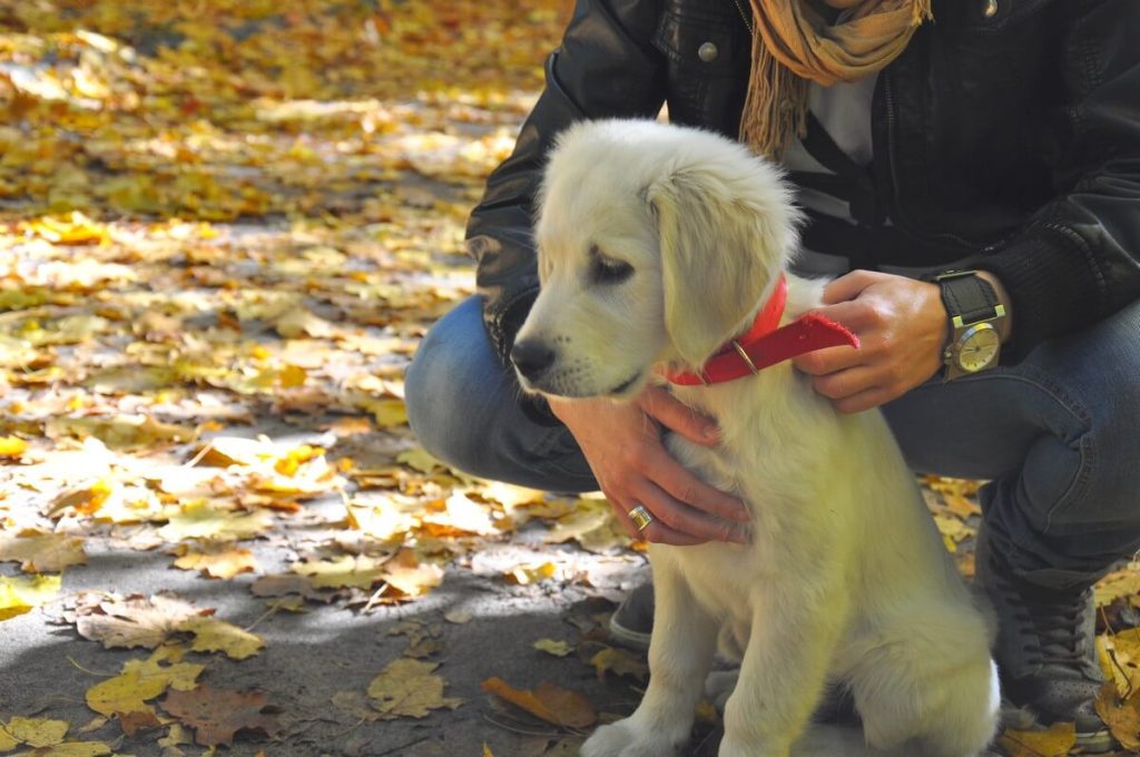 Dżak 3 miesiące i 2 tygodnie