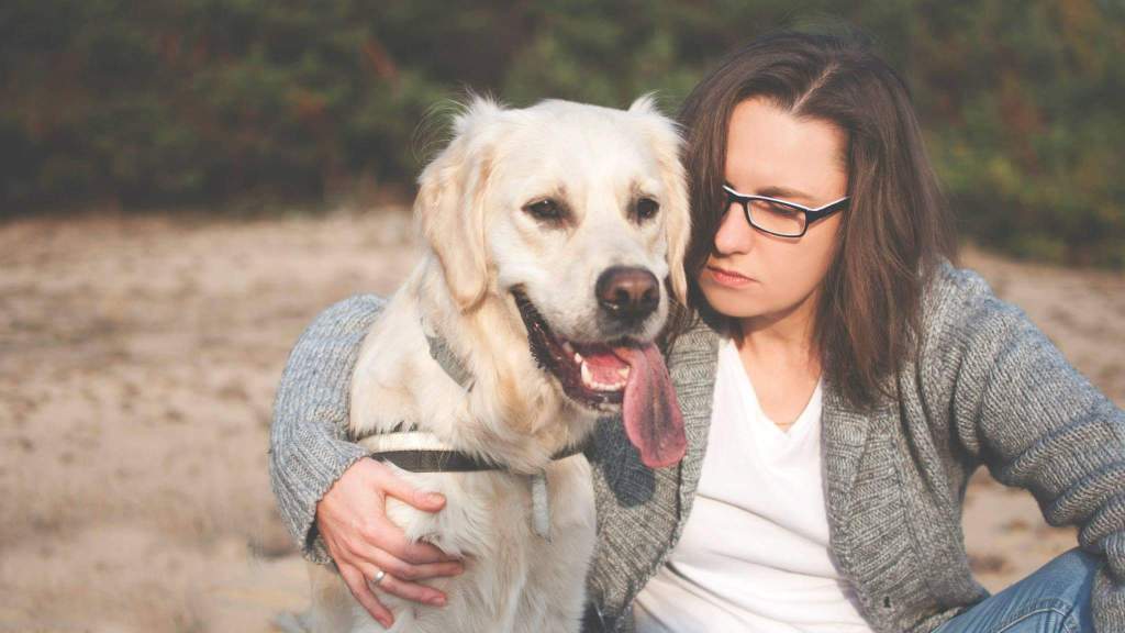 Golden Retriever Dżak best friend