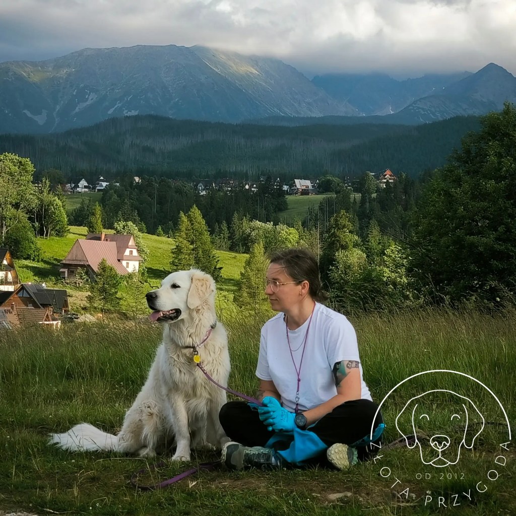 Spacer z Golden Retrieverem w górach